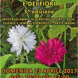 Tutti da Elilù!